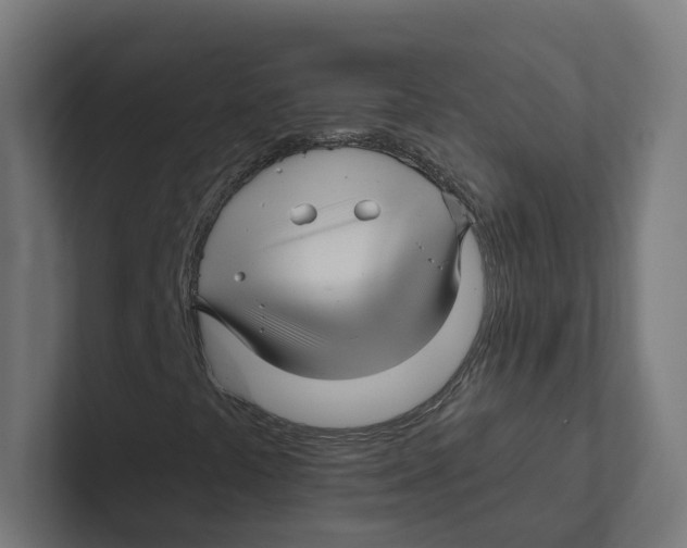 X0000102311441200808221436