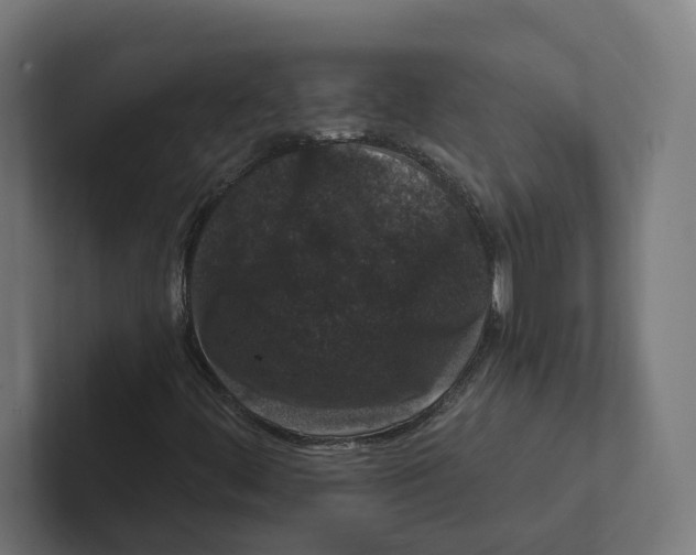 X0000102311444200808221436