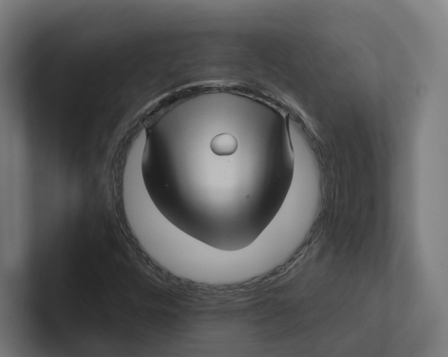 X0000102311448200808221436