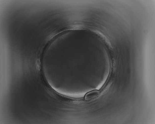 X0000102311449200808221436