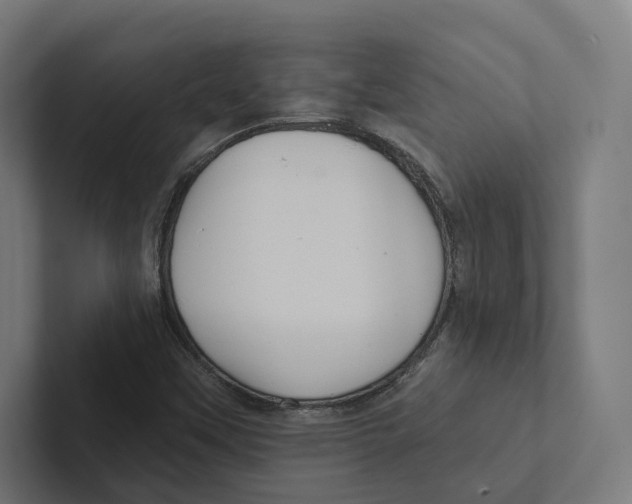 X0000102311451200808221436