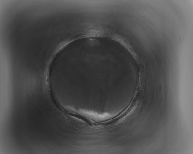X0000102311453200808221436