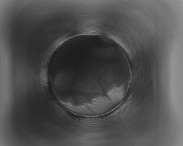 X0000102311455200808221436