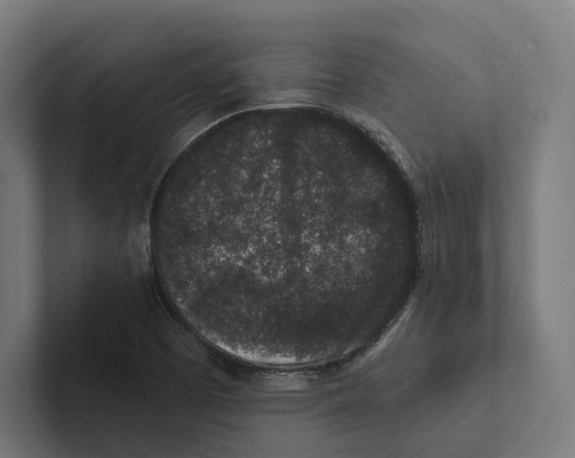 X0000102311457200808221436