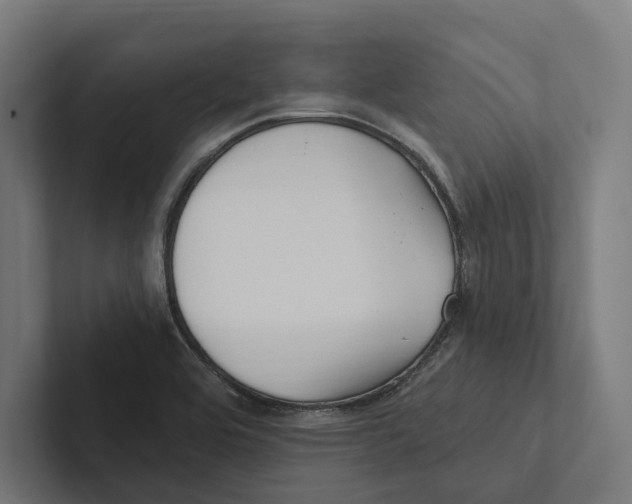 X0000102311464200808221436