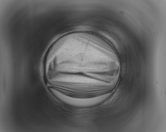X0000102311467200808221436