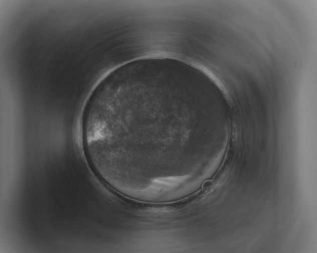 X0000102311468200808221436