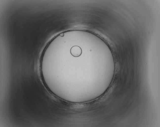 X0000102311470200808221436