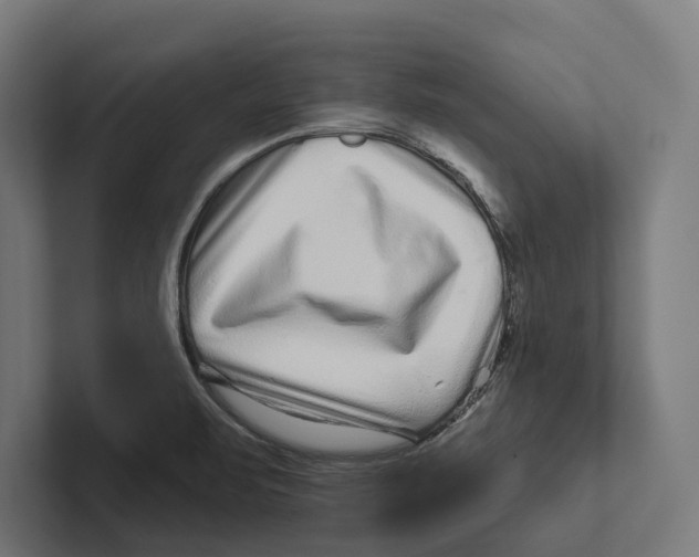 X0000102311471200808221436