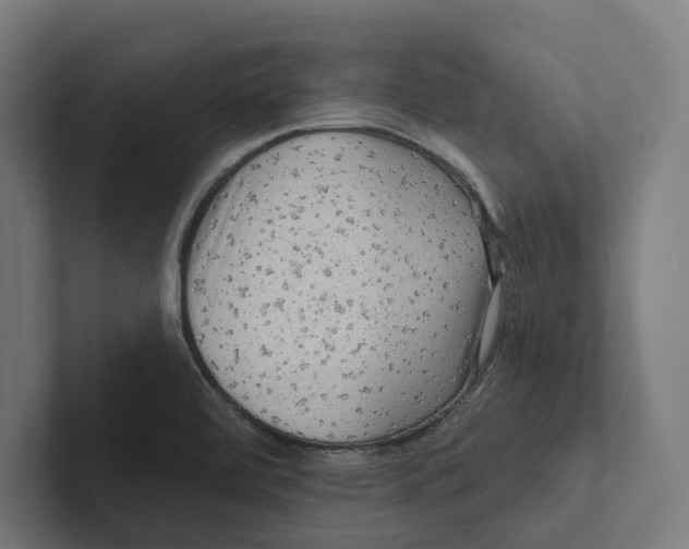X0000102311472200808221436