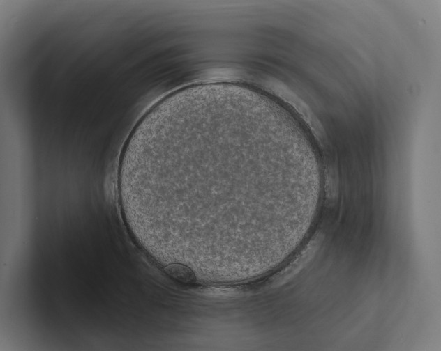 X0000102311473200808221436
