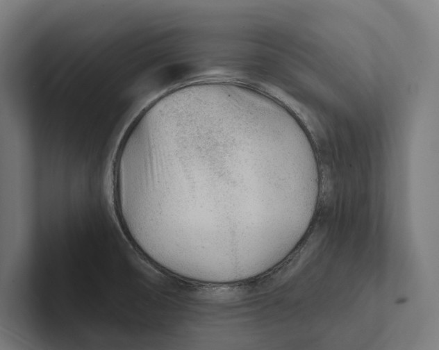 X0000102311474200808221436