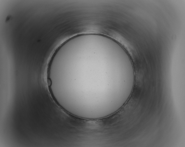X0000102311480200808221436