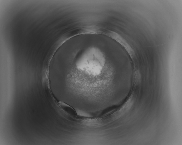 X0000102311481200808221436