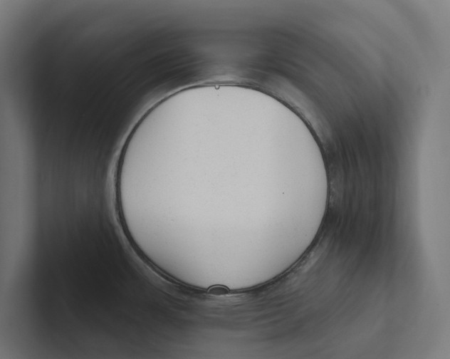 X0000102311483200808221436