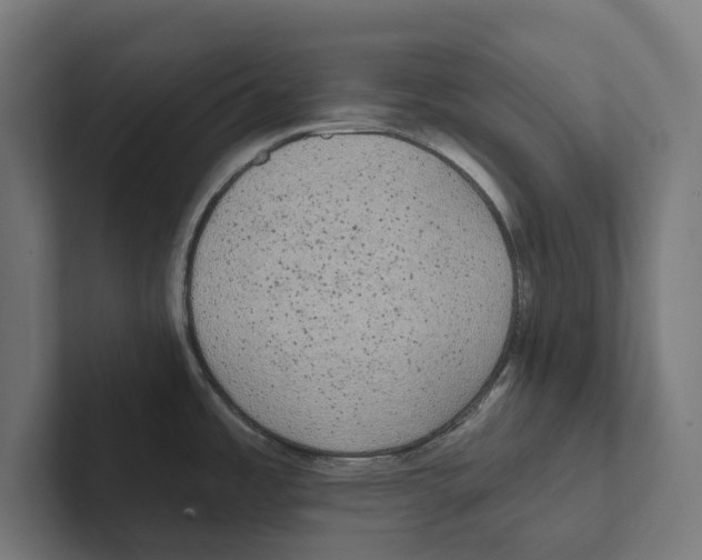 X0000102311485200808221436