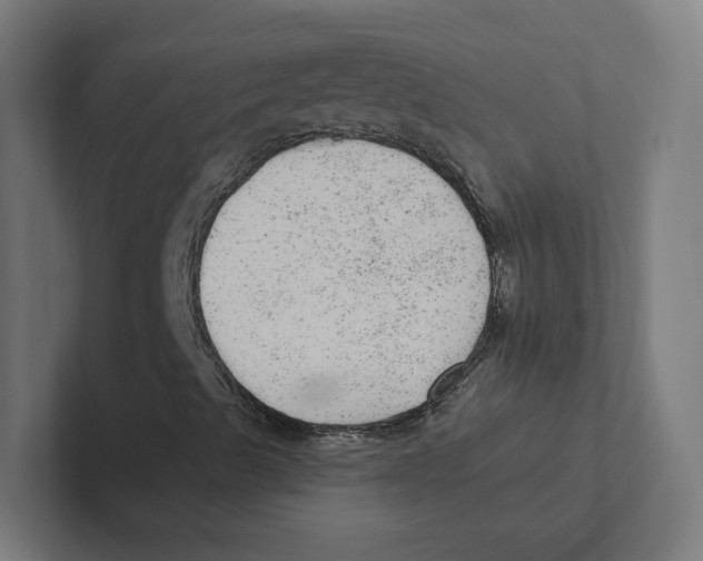 X0000102311489200808221435