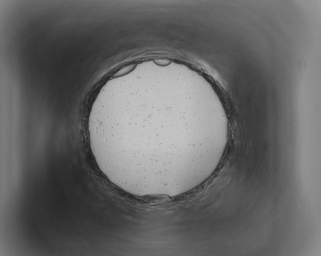 X0000102311496200808221435