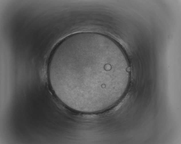 X0000102311498200808221435