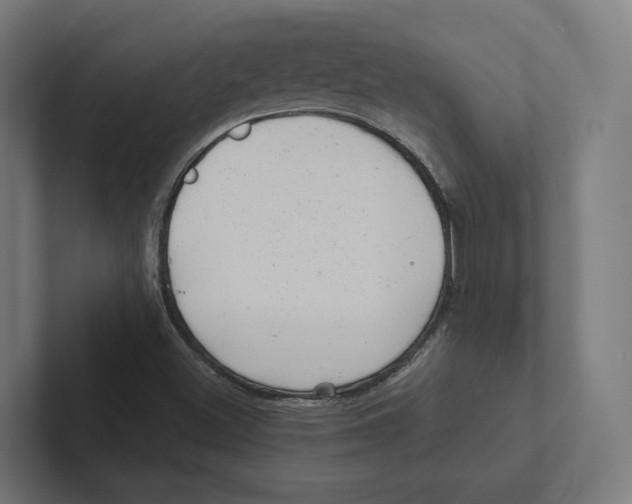 X0000102311500200808221435