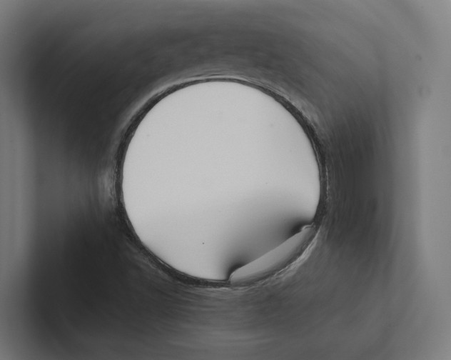 X0000102311502200808221435