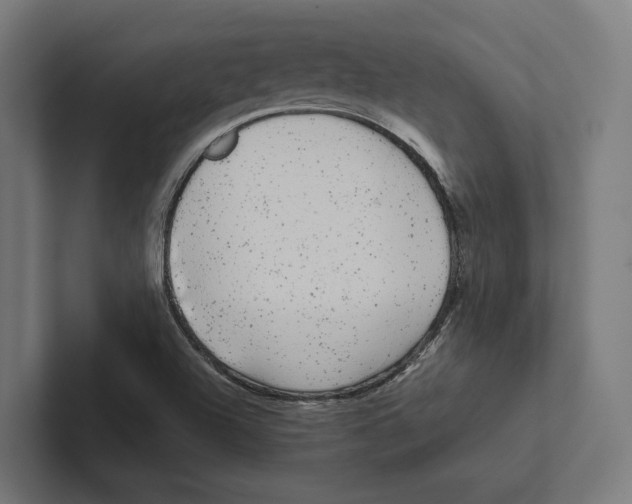 X0000102311504200808221435