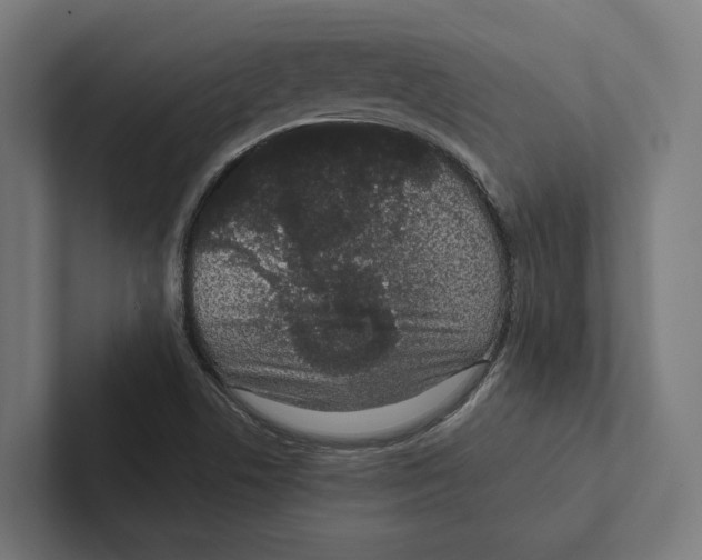 X0000102311506200808221435