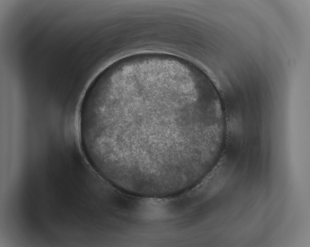 X0000102311514200808221435