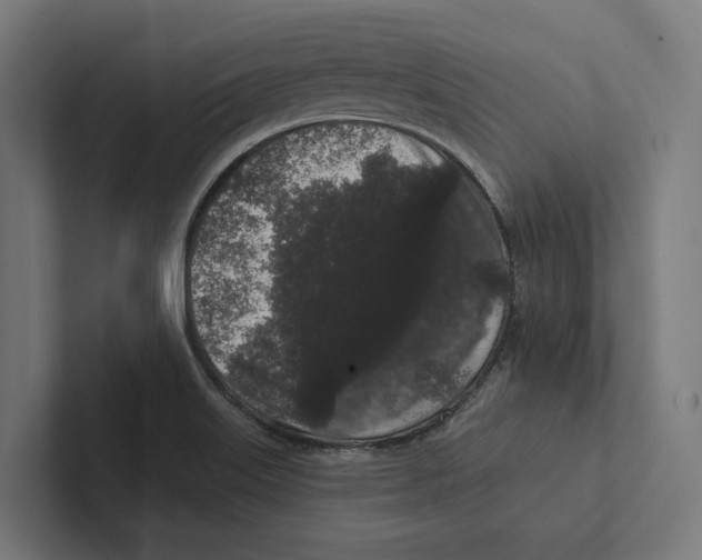 X0000102311515200808221435