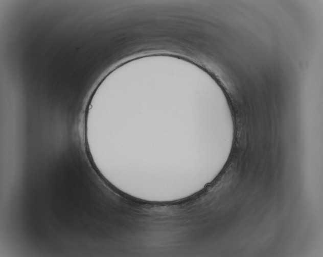 X0000102311516200808221435