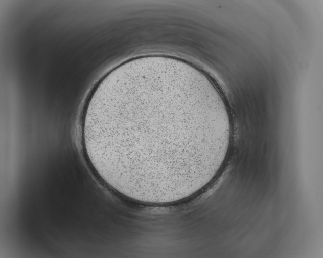 X0000102311517200808221435