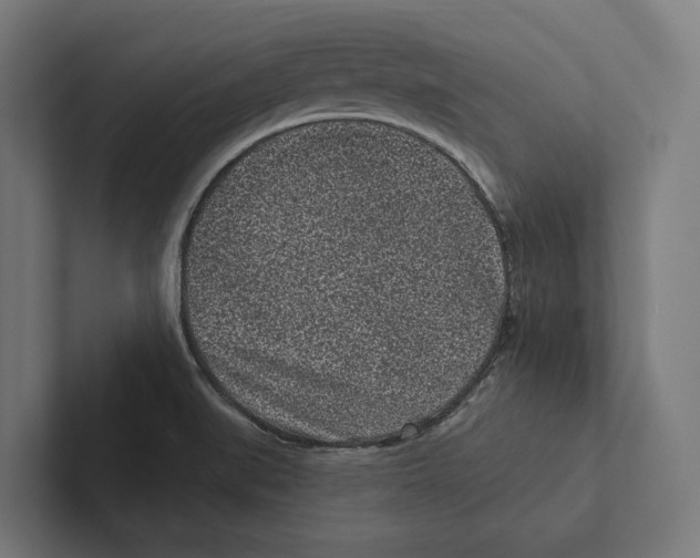 X0000102311519200808221436