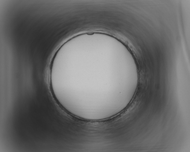 X0000102311520200808221436