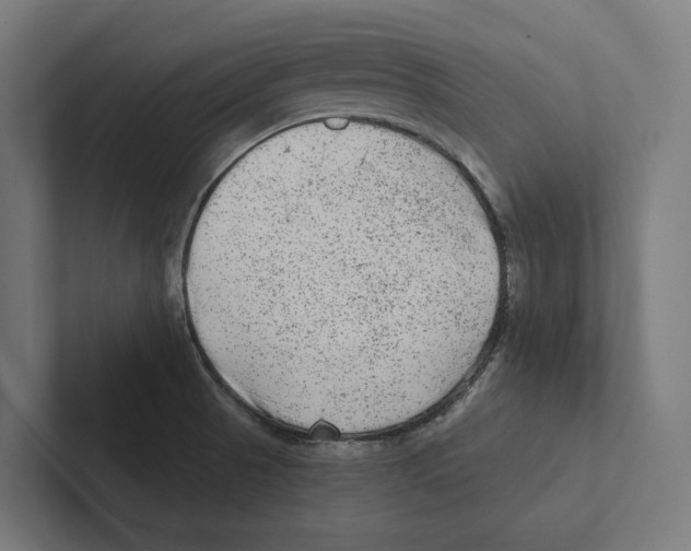 X0000102311521200808221436
