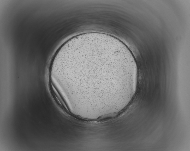 X0000102311523200808221436