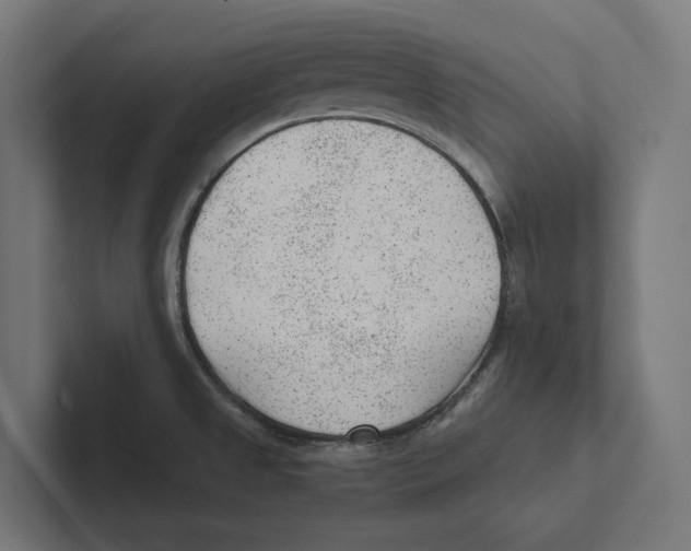 X0000102311525200808221436