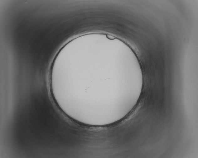 X0000102311526200808221436