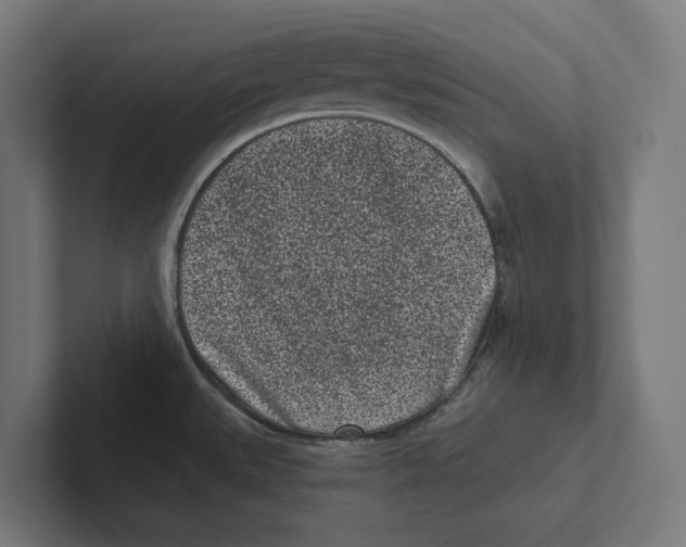 X0000102311527200808221436