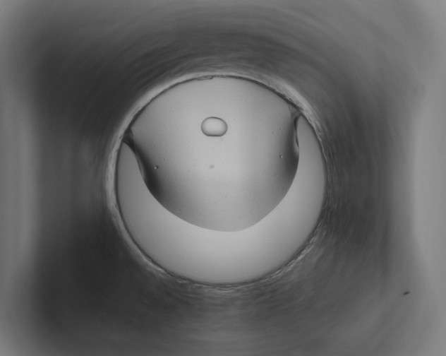 X0000102311528200808221436