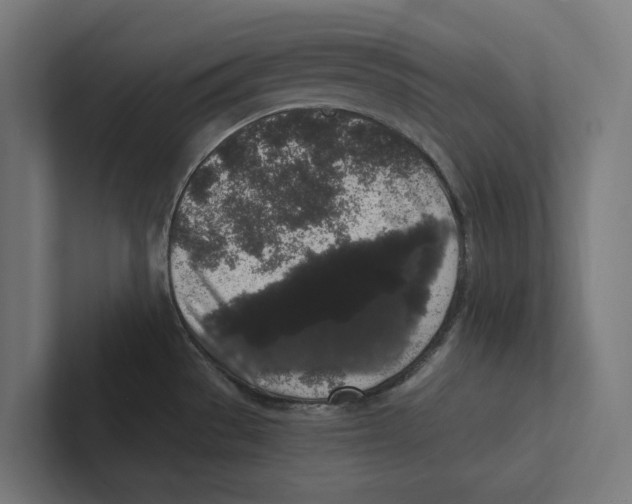 X0000102311529200808221436