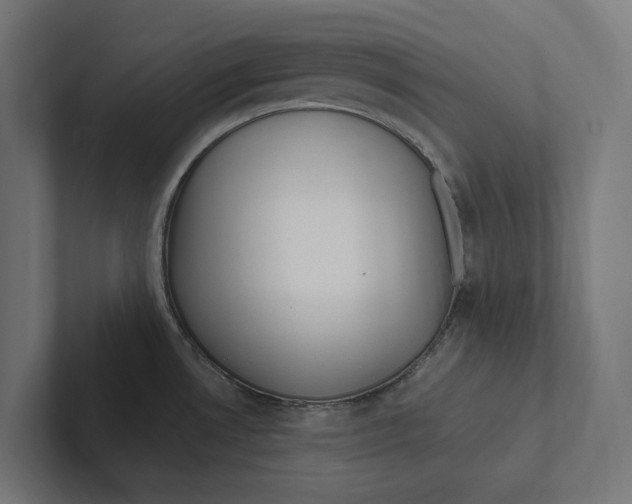 X0000102311530200808221436
