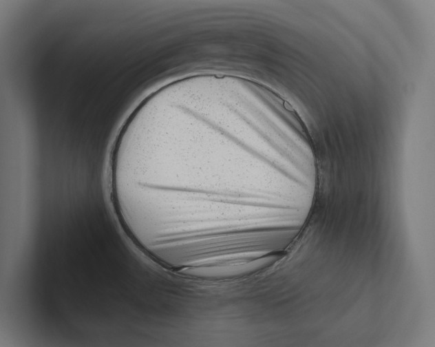 X0000102311531200808221436