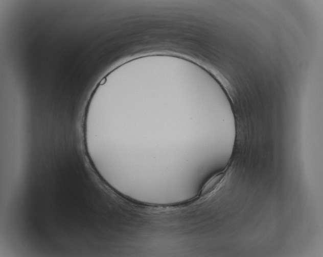 X0000102311534200808221436