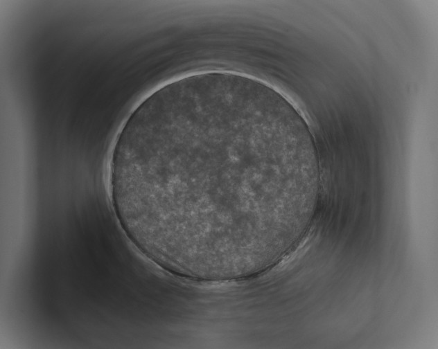 X0000102311535200808221436