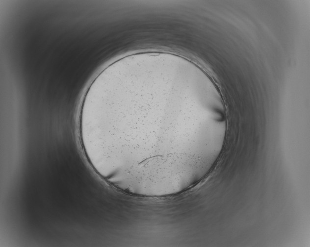 X0000102311536200808221436