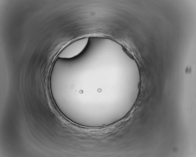 X0000102340001200808010924