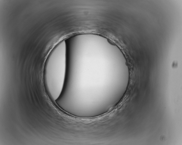 X0000102340002200808010924