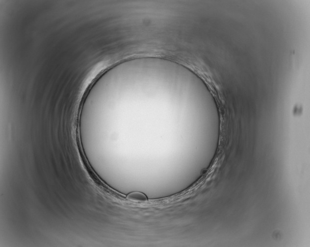 X0000102340003200808010924