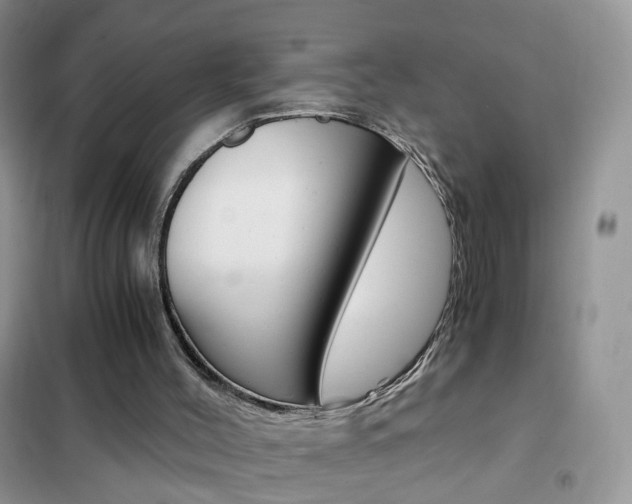 X0000102340004200808010923