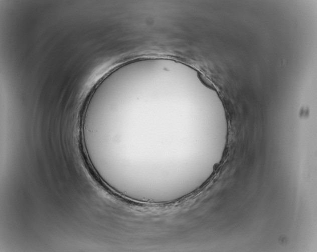 X0000102340005200808010923